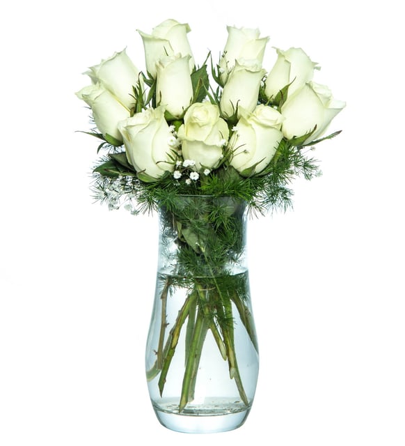 11 Beyaz Gül Vazoda – Saflık ve Asalet