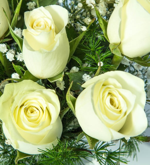 11 Beyaz Gül Vazoda – Saflık ve Asalet