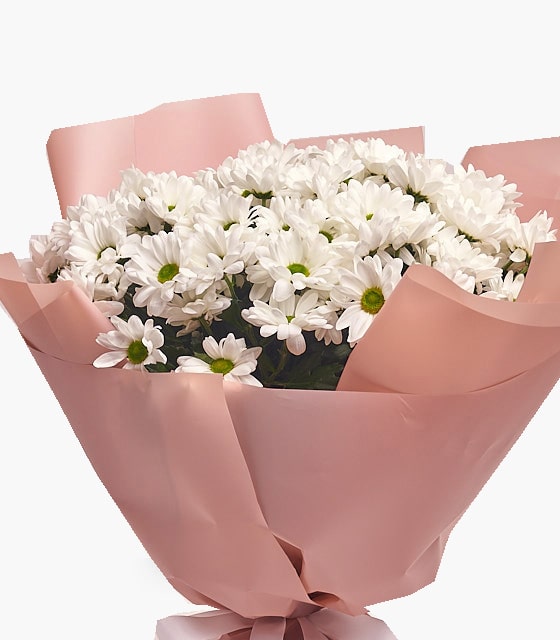 Masumiyetin Işığı Beyaz Papatya Buketi