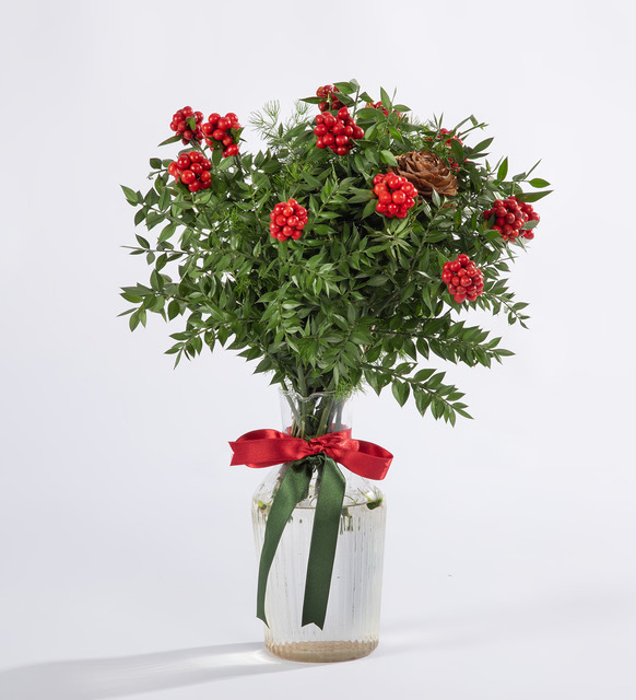 Cam Vazoda Kokina Aranjmanı – Türkiye’nin Her Şehrine Özel Şıklık