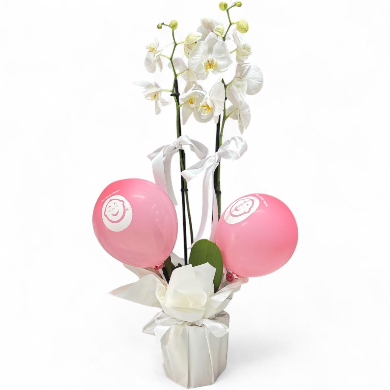Beyaz Orkide & Pembe Balon