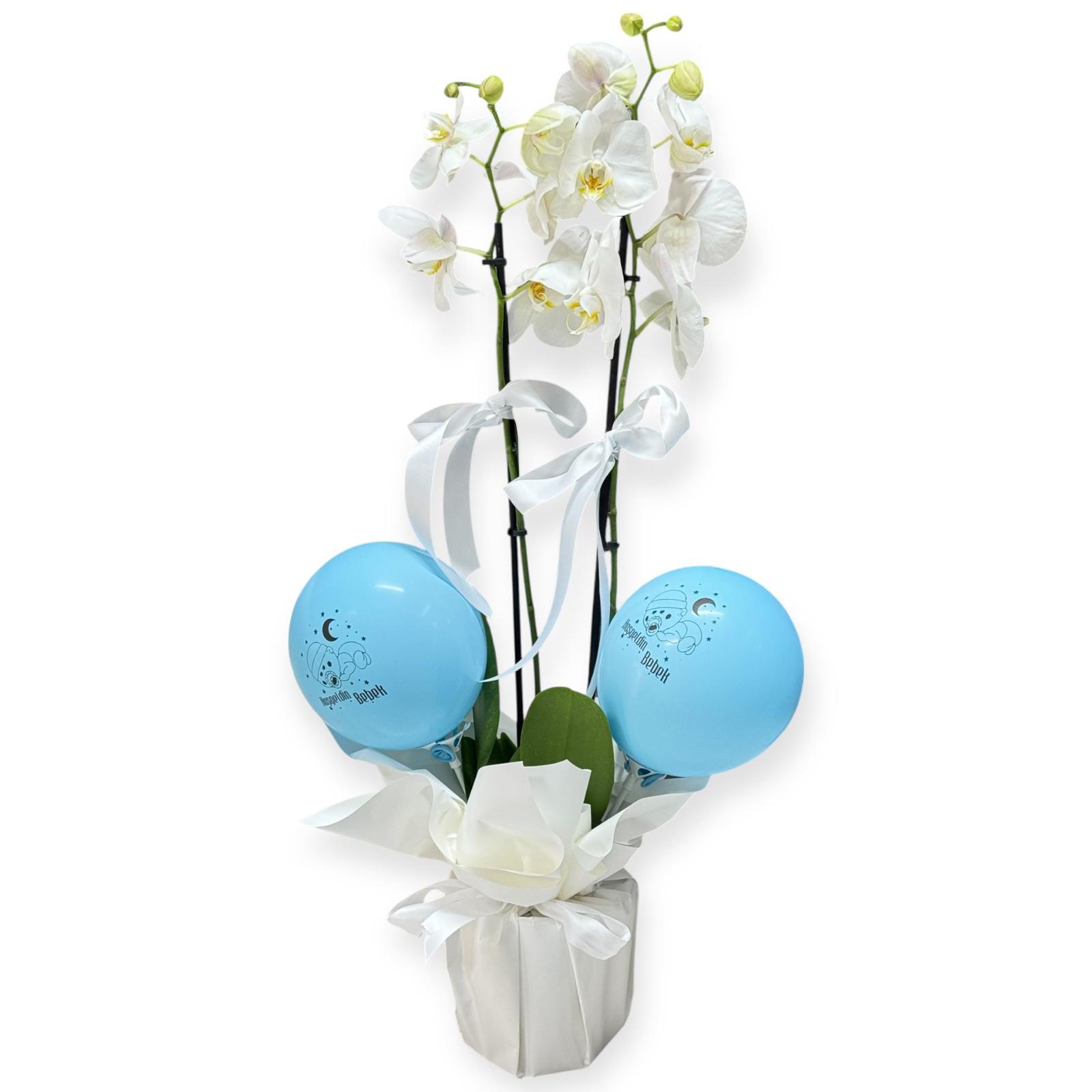 Beyaz Orkide &  Mavi Balon