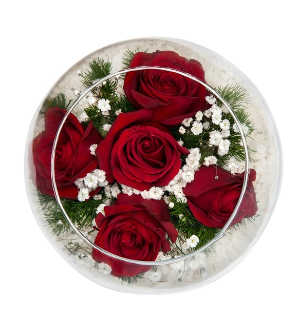 Cam Fanusta 5 Kırmızı Gül – Aşkın En Sade ve En Zarif Hali