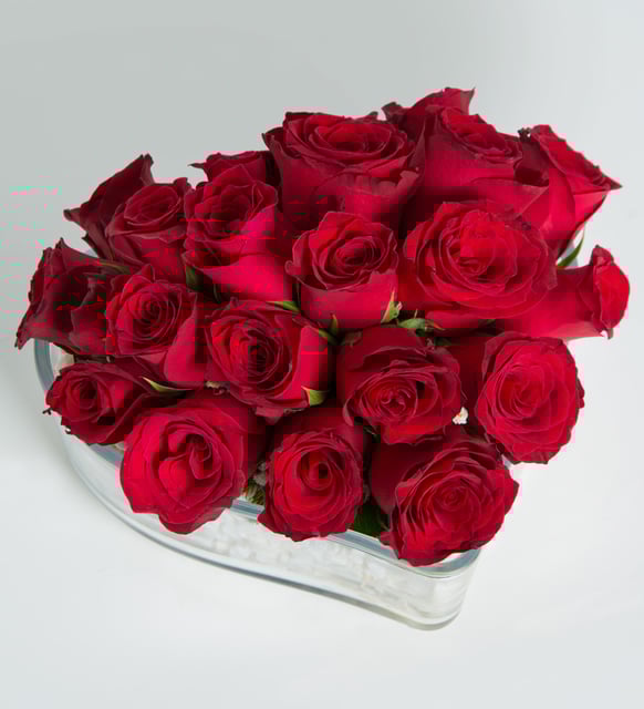 20 Gül “Bu Kalp Senin” Kırmızı Güller – Aşkın En Net Hali