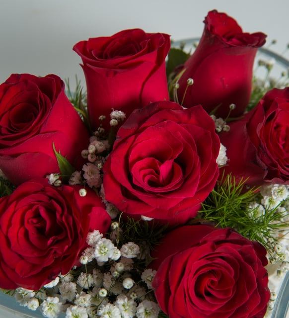 Kalp Cam Vazoda 7 Kırmızı Gül – Aşkın En Tatlı İfadesi