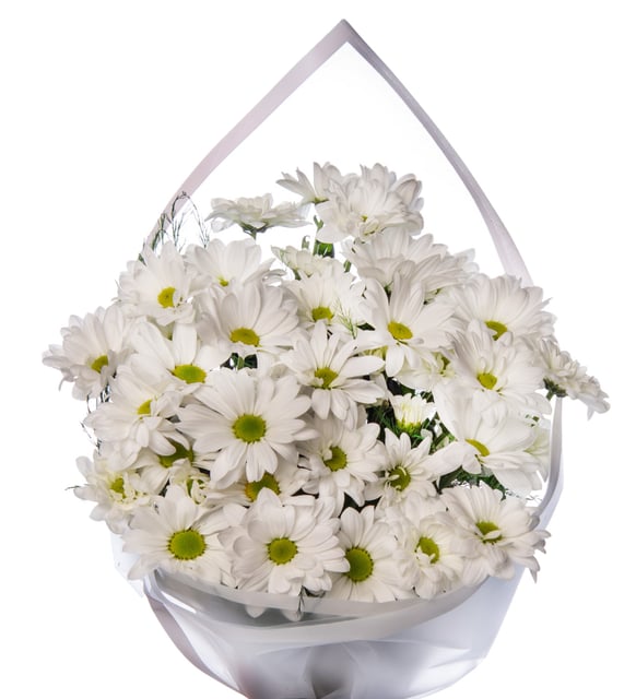 Masumiyet Papatya Buketi – Beyazın Saflığı