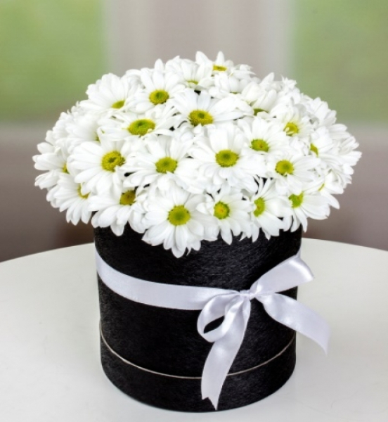 Siyah Silindir Kutuda Beyaz Papatyalar – Elegan Masumiyet
