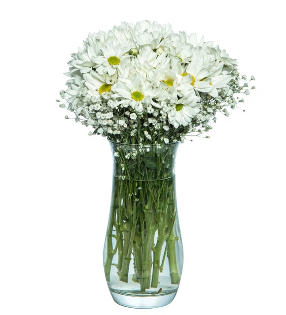 Cam Vazoda Beyaz Papatya Aranjmanı – Saflık ve Zarafet