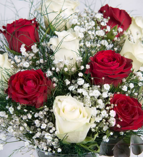 Akvaryum Vazoda Kırmızı & Beyaz Gül Aranjmanı – Aşkın Saflığı