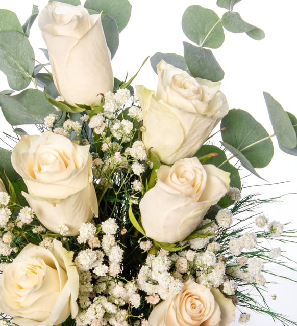 Siyah Modern Vazoda 7 Beyaz Gül – Saflık & Zarafet